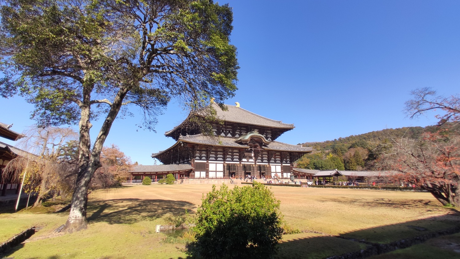 Todai-ji Temple